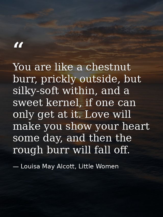 You are like a chestnut burr, prickly outside, but silky-soft within, and a sweet kernel, if one can only get at it. Lov — Louisa May Alcott, Little Women