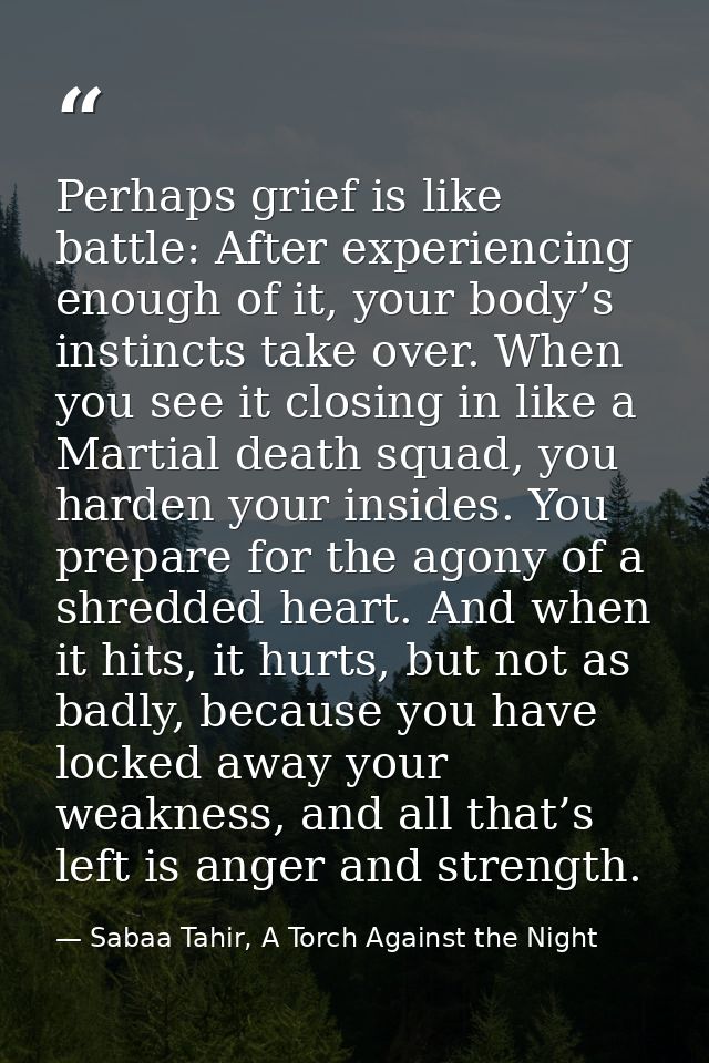 Perhaps grief is like battle: After experiencing enough of it, your body’s instincts take over. When you see it closing  — Sabaa Tahir, A Torch Against the Night