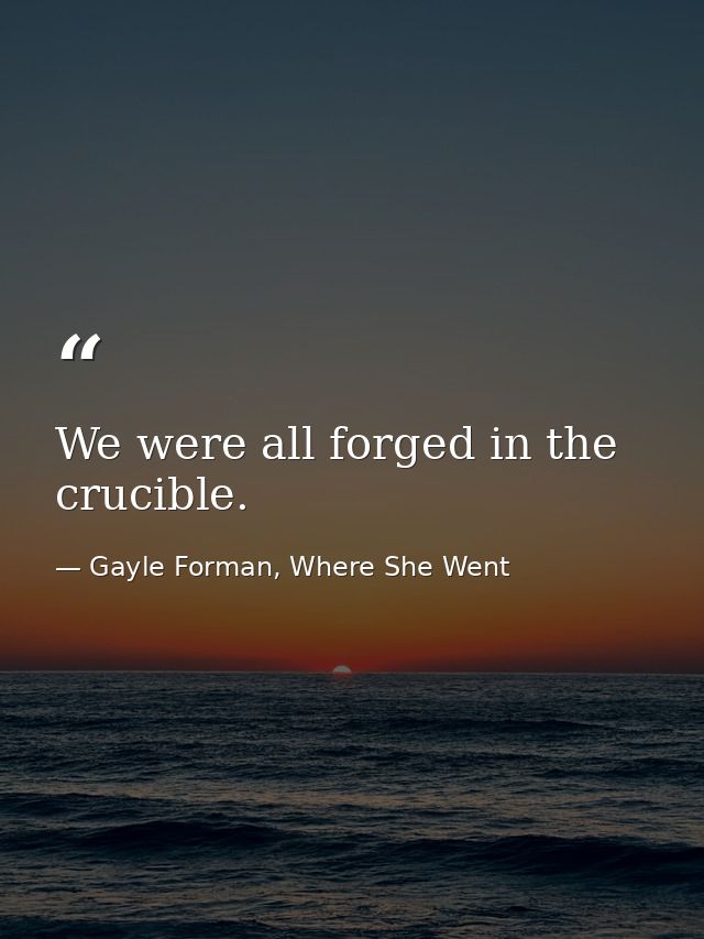 We were all forged in the crucible. — Gayle Forman, Where She Went
