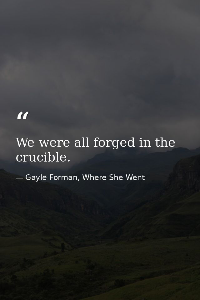 We were all forged in the crucible. — Gayle Forman, Where She Went