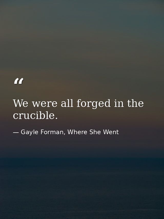 We were all forged in the crucible. — Gayle Forman, Where She Went