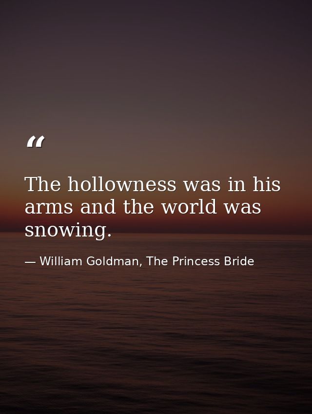 The hollowness was in his arms and the world was snowing. — William Goldman, The Princess Bride