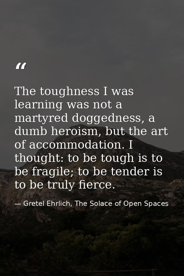 The toughness I was learning was not a martyred doggedness, a dumb heroism, but the art of accommodation. I thought: to  — Gretel Ehrlich, The Solace of Open Spaces