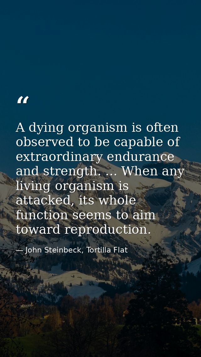A dying organism is often observed to be capable of extraordinary endurance and strength. ... When any living organism i — John Steinbeck, Tortilla Flat