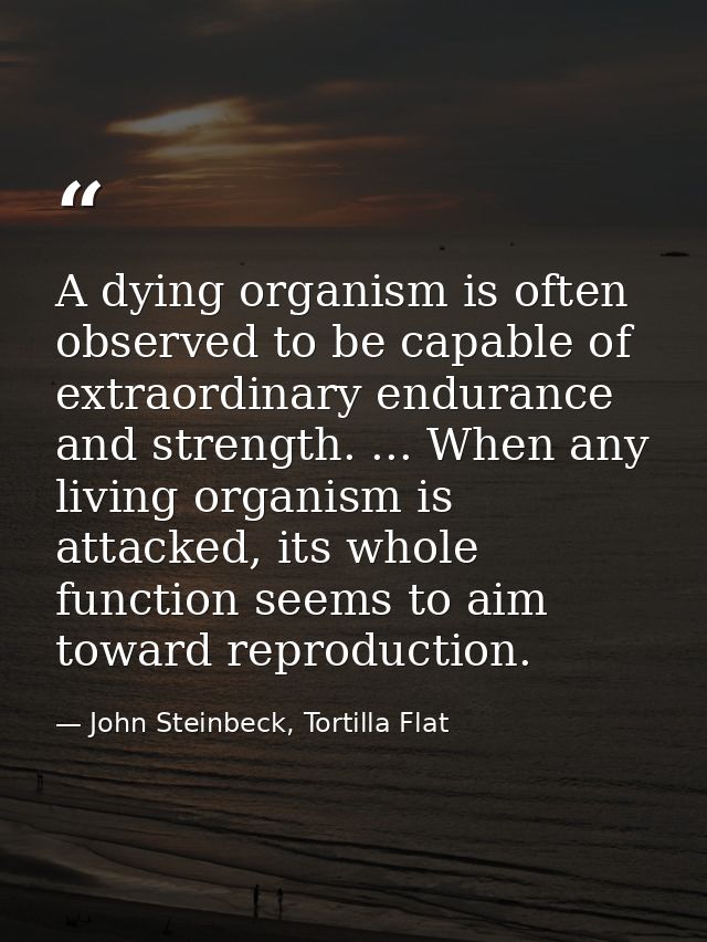 A dying organism is often observed to be capable of extraordinary endurance and strength. ... When any living organism i — John Steinbeck, Tortilla Flat