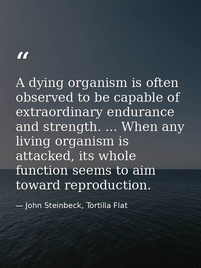 A dying organism is often observed to be capable of extraordinary endurance and strength. ... When any living organism i — John Steinbeck, Tortilla Flat