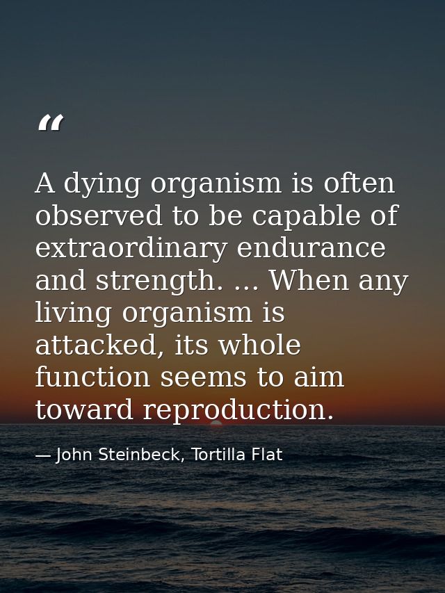 A dying organism is often observed to be capable of extraordinary endurance and strength. ... When any living organism i — John Steinbeck, Tortilla Flat