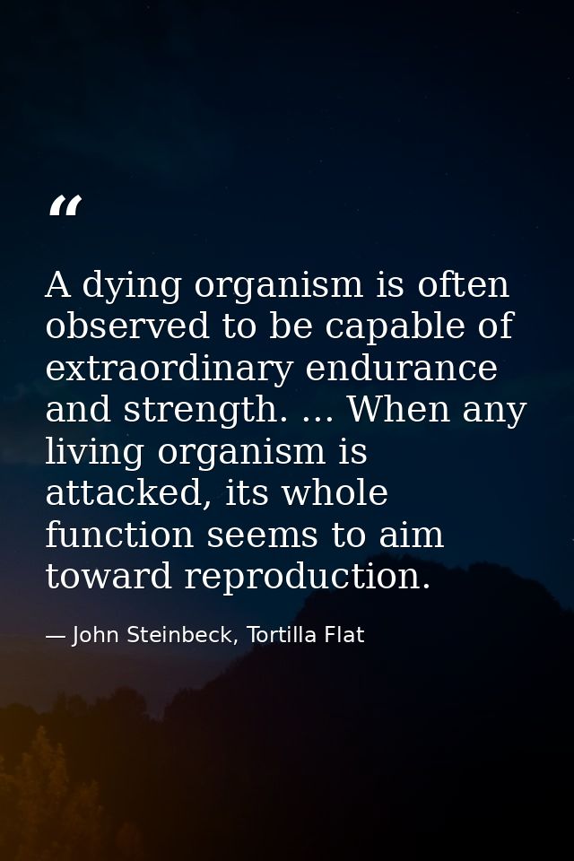 A dying organism is often observed to be capable of extraordinary endurance and strength. ... When any living organism i — John Steinbeck, Tortilla Flat