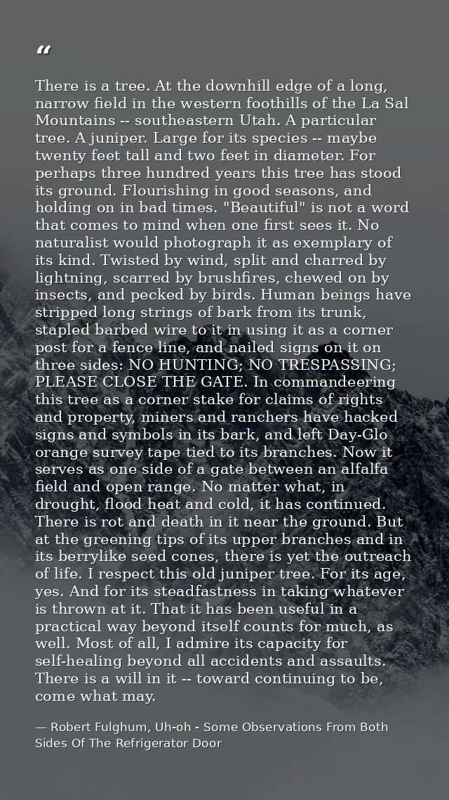 There is a tree. At the downhill edge of a long, narrow field in the western foothills of the La Sal Mountains -- southe — Robert Fulghum, Uh-oh - Some Observations From Both Sides Of The Refrigerator Door