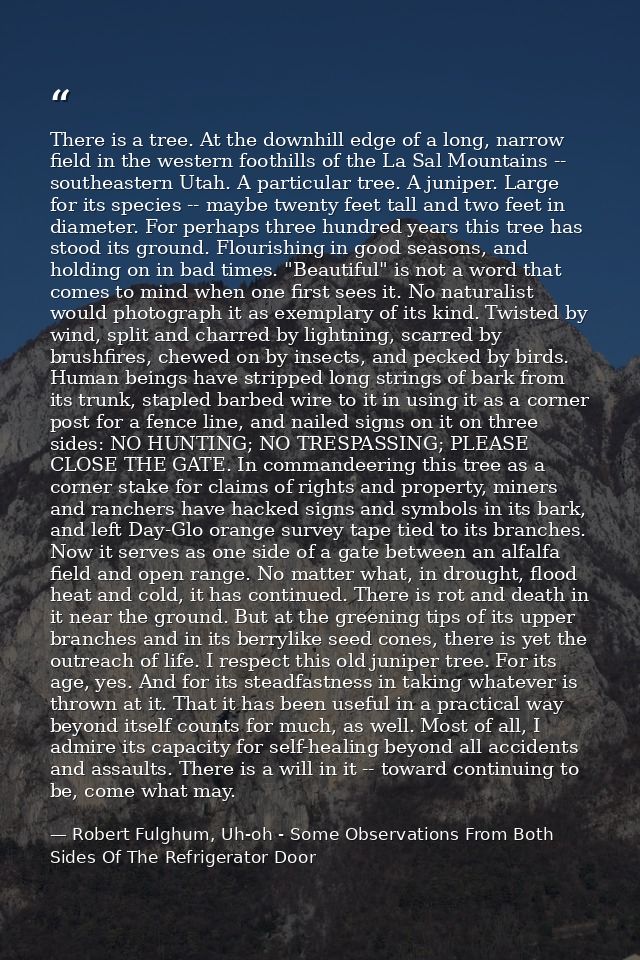 There is a tree. At the downhill edge of a long, narrow field in the western foothills of the La Sal Mountains -- southe — Robert Fulghum, Uh-oh - Some Observations From Both Sides Of The Refrigerator Door