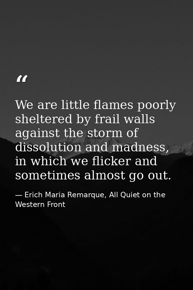 We are little flames poorly sheltered by frail walls against the storm of dissolution and madness, in which we flicker a — Erich Maria Remarque, All Quiet on the Western Front
