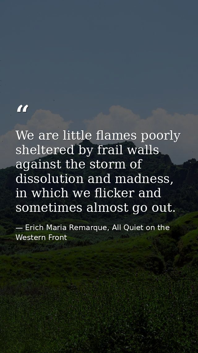 We are little flames poorly sheltered by frail walls against the storm of dissolution and madness, in which we flicker a — Erich Maria Remarque, All Quiet on the Western Front