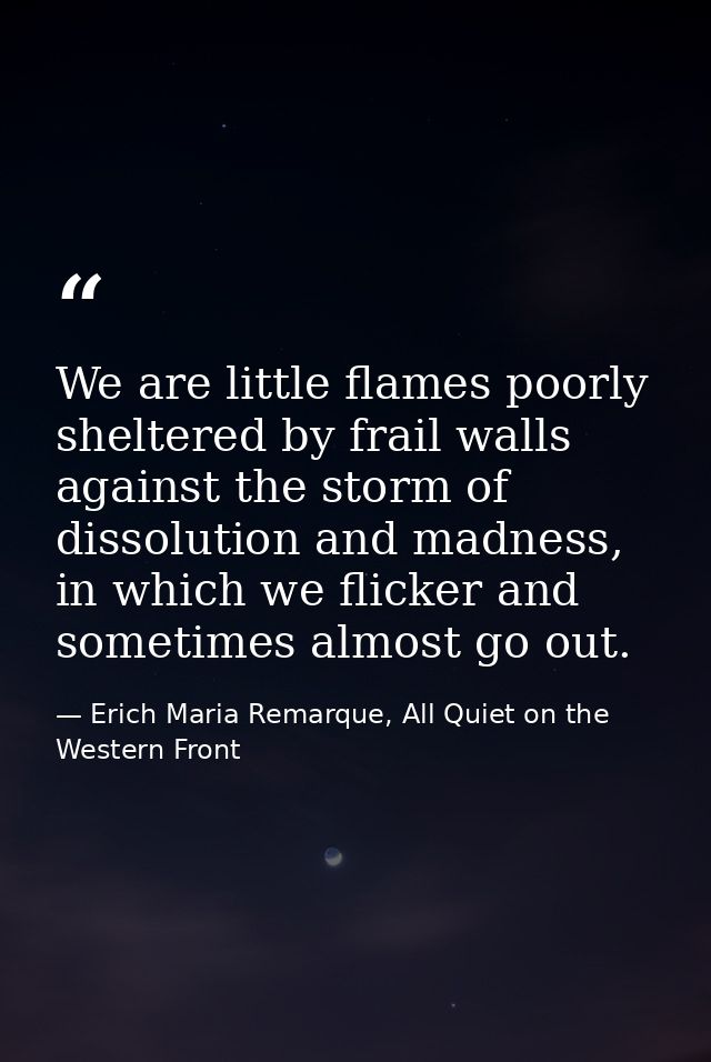 We are little flames poorly sheltered by frail walls against the storm of dissolution and madness, in which we flicker a — Erich Maria Remarque, All Quiet on the Western Front
