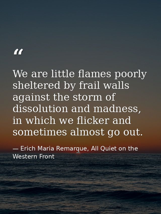 We are little flames poorly sheltered by frail walls against the storm of dissolution and madness, in which we flicker a — Erich Maria Remarque, All Quiet on the Western Front