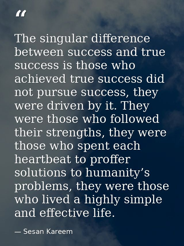 The singular difference between success and true success is those who achieved true success did not pursue success, they — Sesan Kareem