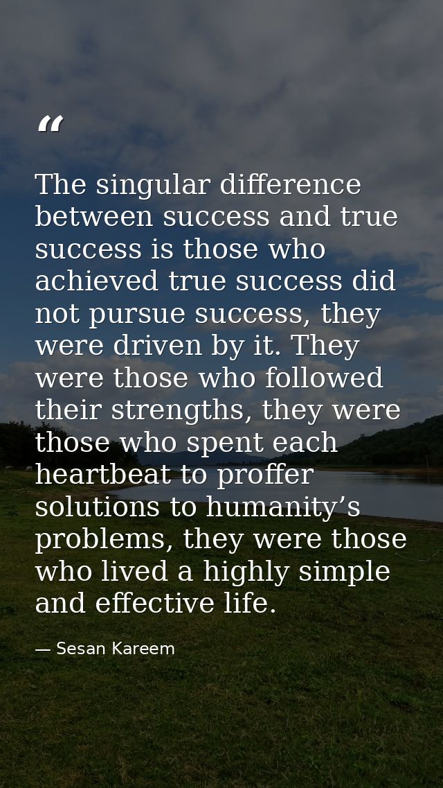 The singular difference between success and true success is those who achieved true success did not pursue success, they — Sesan Kareem