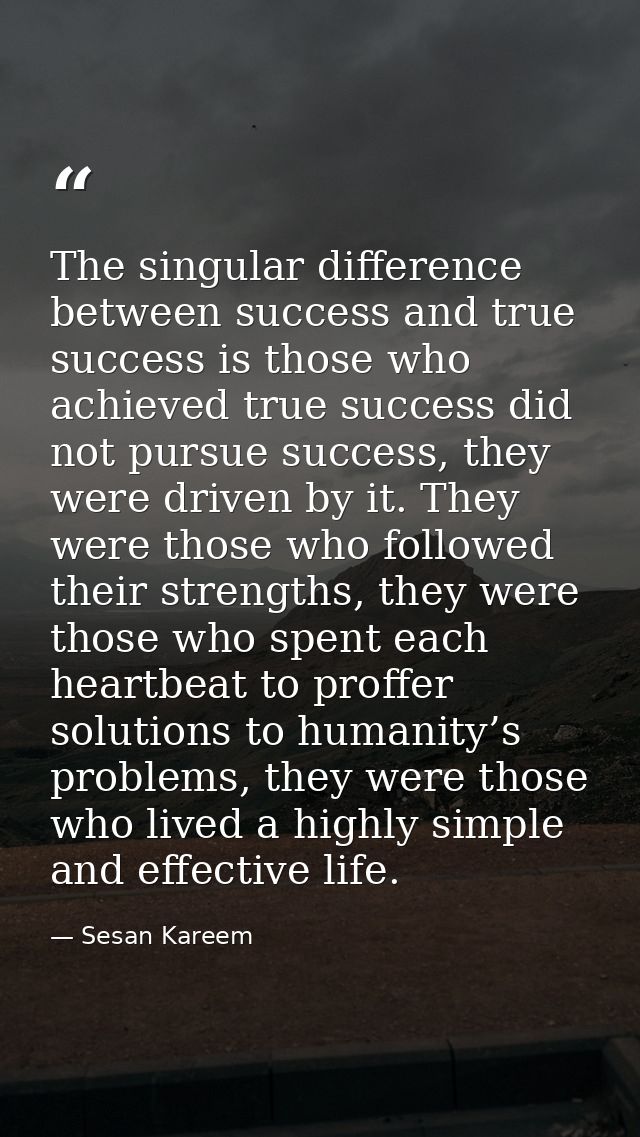 The singular difference between success and true success is those who achieved true success did not pursue success, they — Sesan Kareem