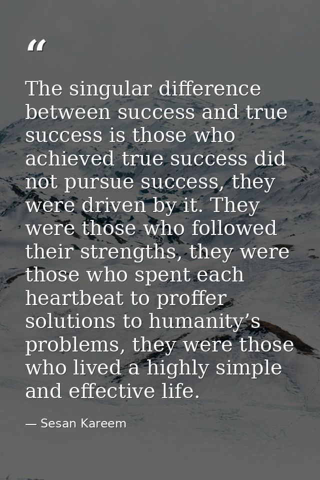 The singular difference between success and true success is those who achieved true success did not pursue success, they — Sesan Kareem