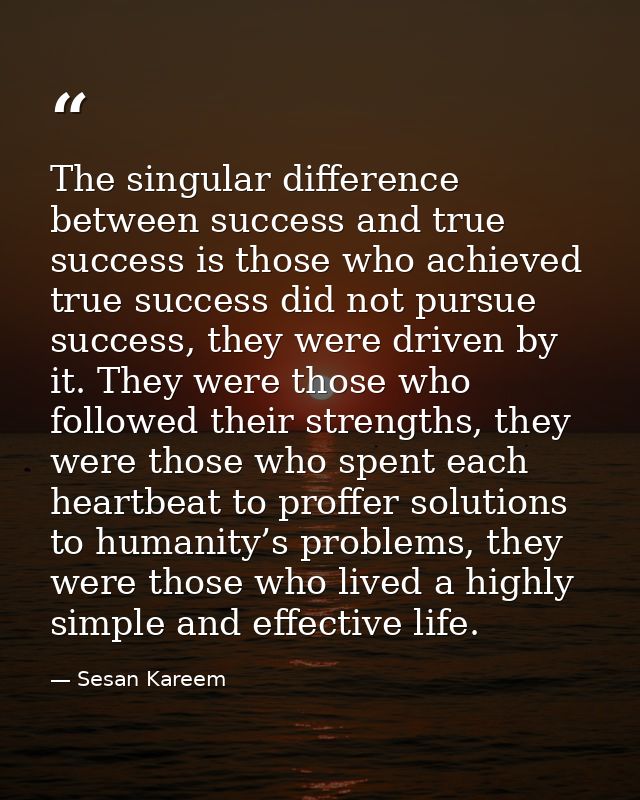 The singular difference between success and true success is those who achieved true success did not pursue success, they — Sesan Kareem