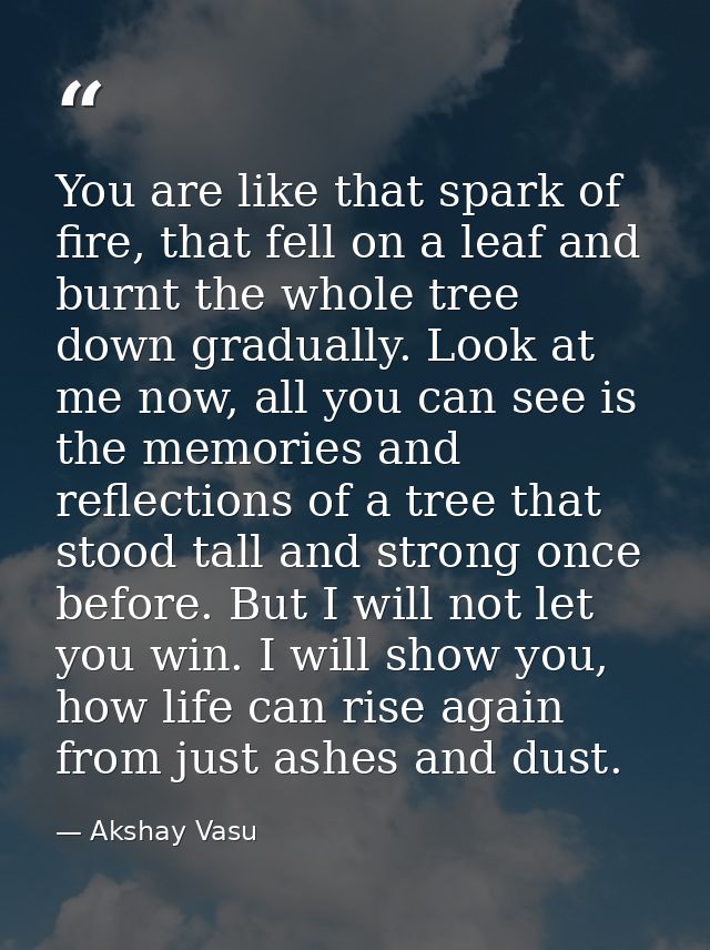 You are like that spark of fire, that fell on a leaf and burnt the whole tree down gradually. Look at me now, all you ca — Akshay Vasu
