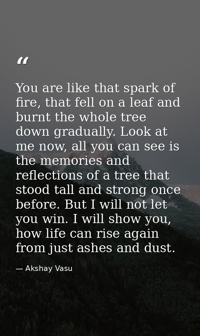 You are like that spark of fire, that fell on a leaf and burnt the whole tree down gradually. Look at me now, all you ca — Akshay Vasu
