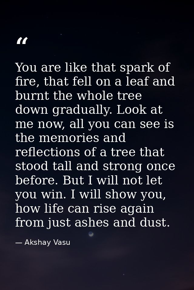 You are like that spark of fire, that fell on a leaf and burnt the whole tree down gradually. Look at me now, all you ca — Akshay Vasu
