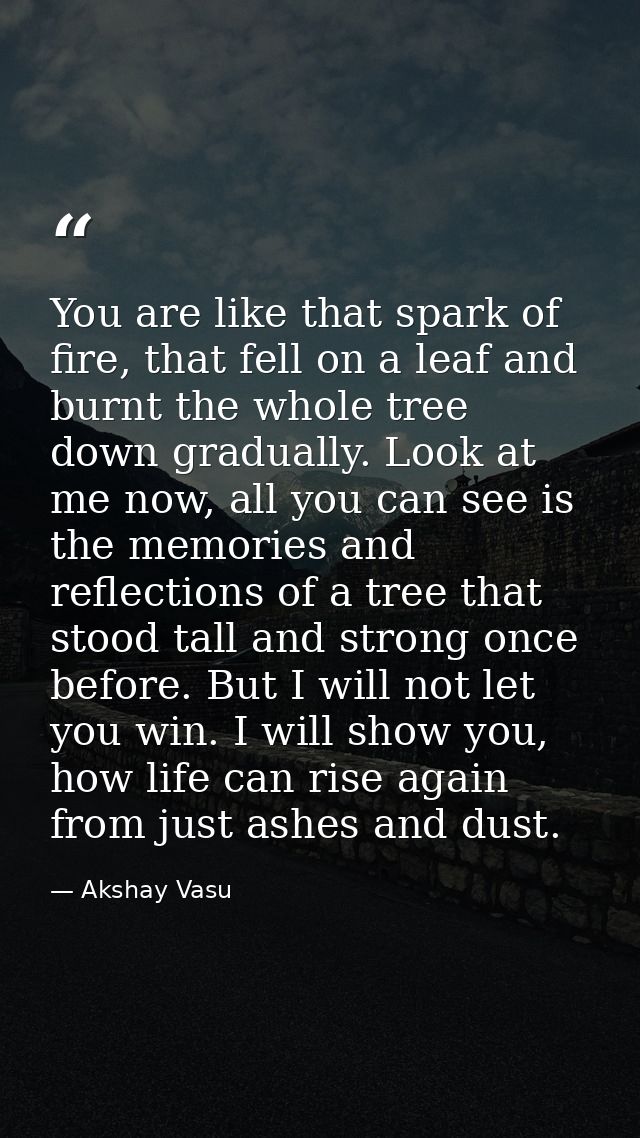 You are like that spark of fire, that fell on a leaf and burnt the whole tree down gradually. Look at me now, all you ca — Akshay Vasu