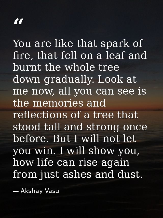 You are like that spark of fire, that fell on a leaf and burnt the whole tree down gradually. Look at me now, all you ca — Akshay Vasu