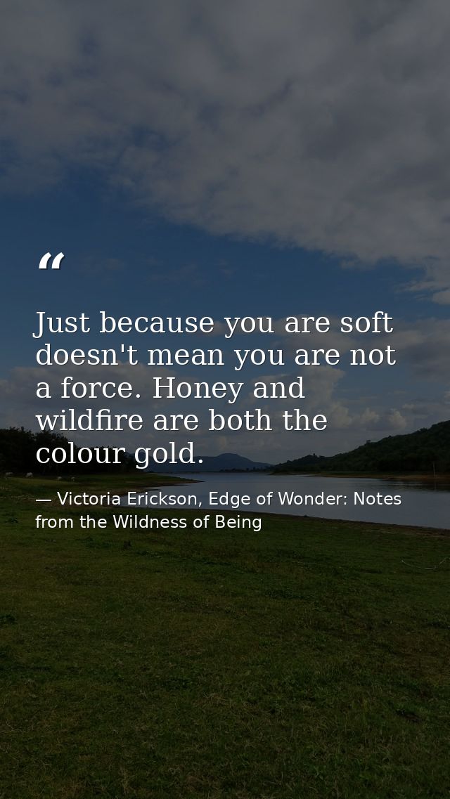 Just because you are soft doesn't mean you are not a force. Honey and wildfire are both the colour gold. — Victoria Erickson, Edge of Wonder: Notes from the Wildness of Being