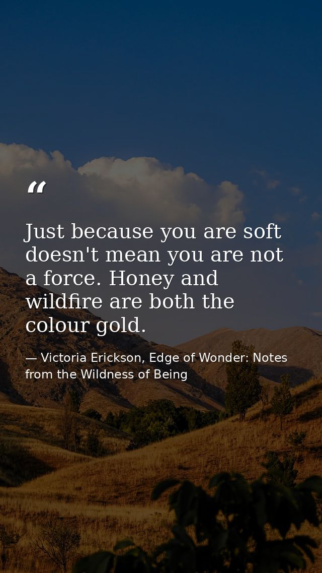 Just because you are soft doesn't mean you are not a force. Honey and wildfire are both the colour gold. — Victoria Erickson, Edge of Wonder: Notes from the Wildness of Being