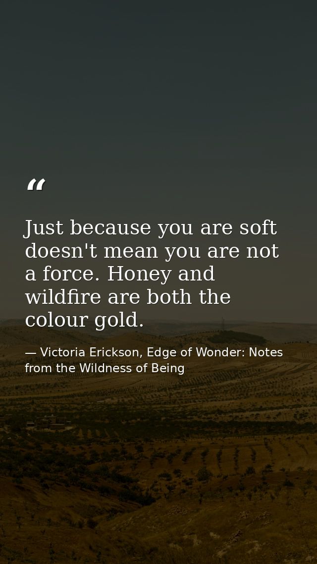 Just because you are soft doesn't mean you are not a force. Honey and wildfire are both the colour gold. — Victoria Erickson, Edge of Wonder: Notes from the Wildness of Being