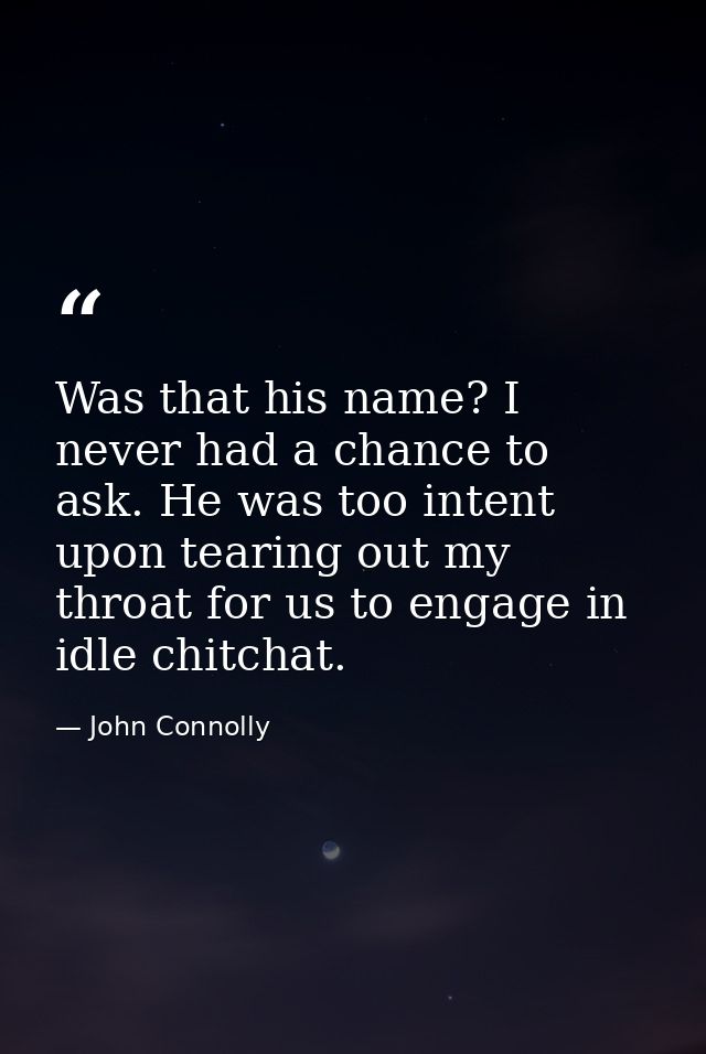 Was that his name? I never had a chance to ask. He was too intent upon tearing out my throat for us to engage in idle ch — John Connolly