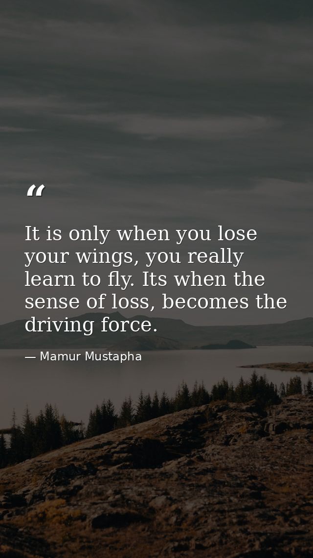 It is only when you lose your wings, you really learn to fly. Its when the sense of loss, becomes the driving force. — Mamur Mustapha