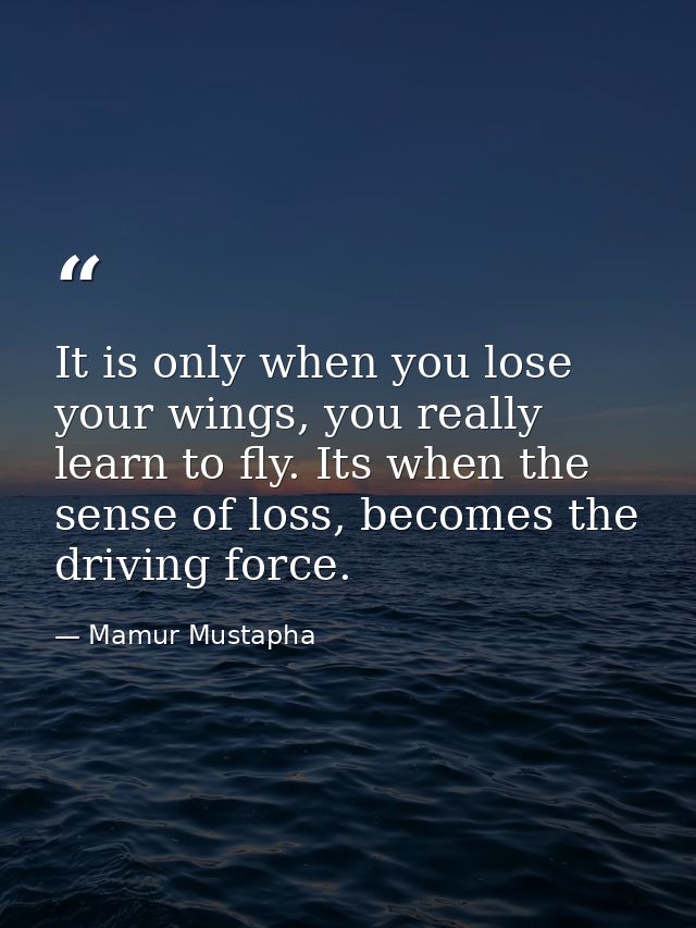 It is only when you lose your wings, you really learn to fly. Its when the sense of loss, becomes the driving force. — Mamur Mustapha