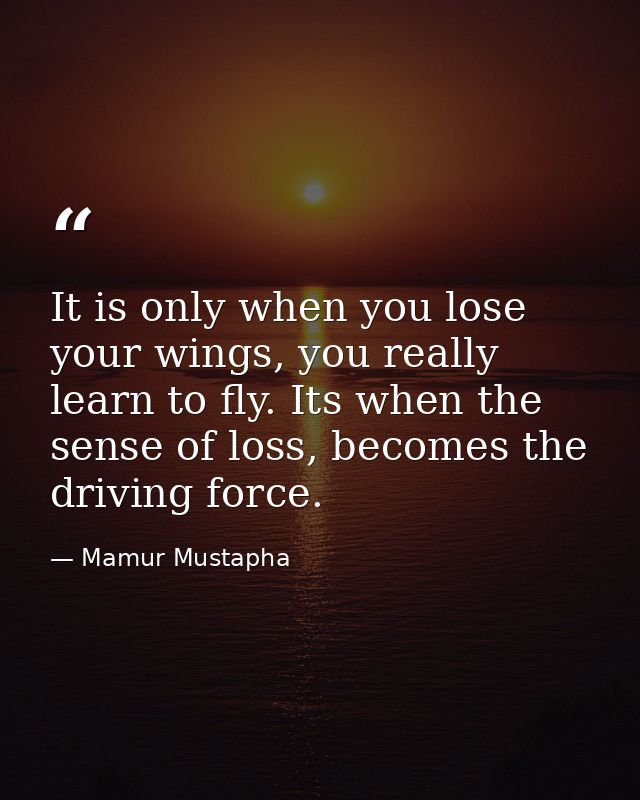 It is only when you lose your wings, you really learn to fly. Its when the sense of loss, becomes the driving force. — Mamur Mustapha