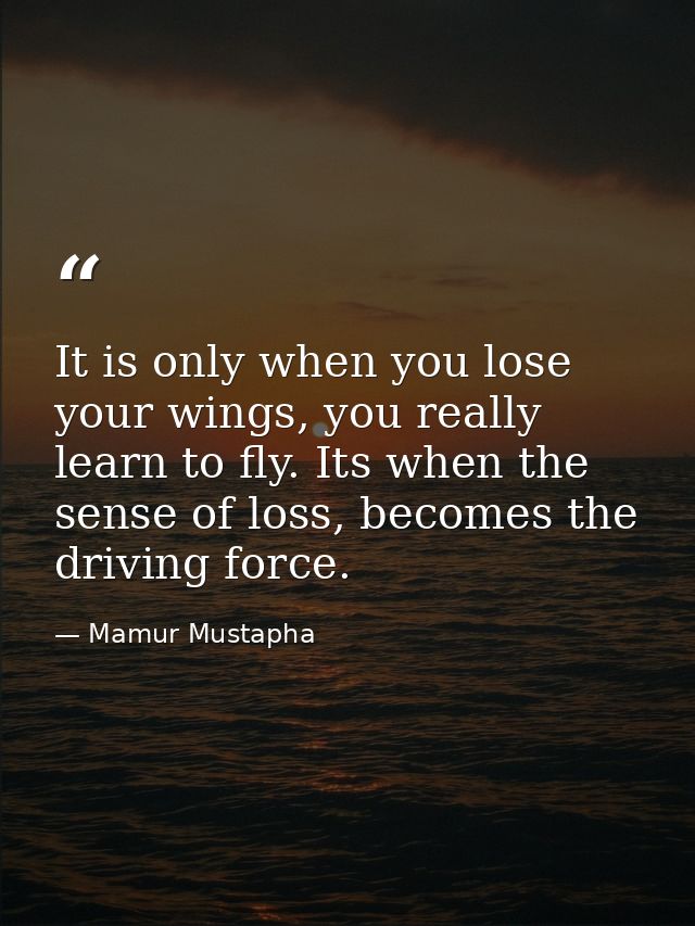 It is only when you lose your wings, you really learn to fly. Its when the sense of loss, becomes the driving force. — Mamur Mustapha