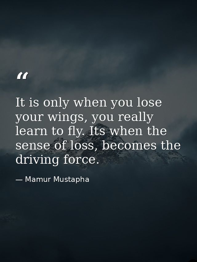 It is only when you lose your wings, you really learn to fly. Its when the sense of loss, becomes the driving force. — Mamur Mustapha