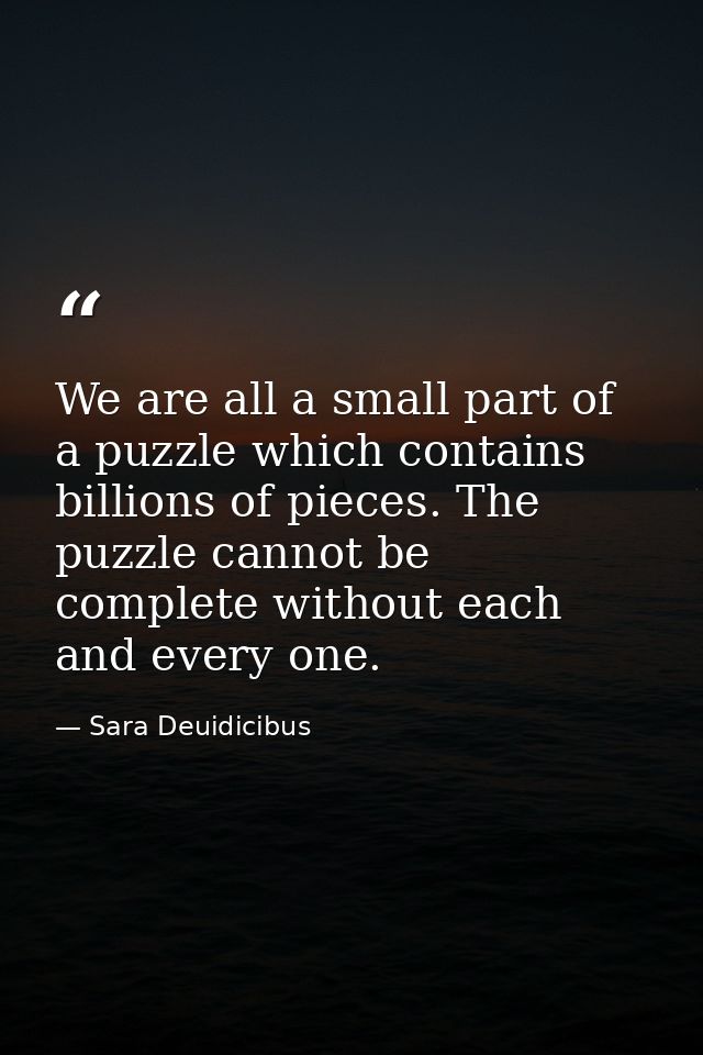 We are all a small part of a puzzle which contains billions of pieces. The puzzle cannot be complete without each and ev — Sara Deuidicibus