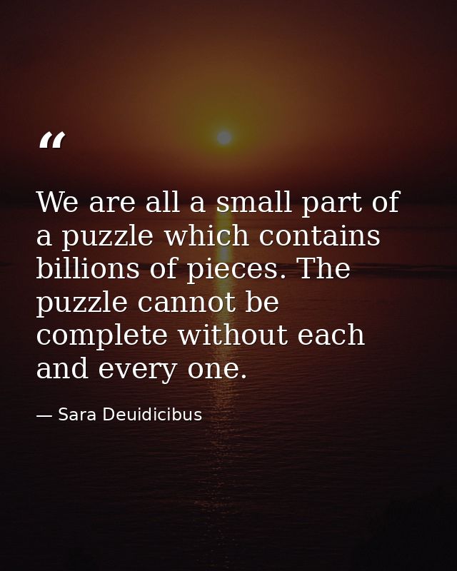 We are all a small part of a puzzle which contains billions of pieces. The puzzle cannot be complete without each and ev — Sara Deuidicibus