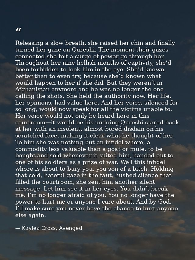 Releasing a slow breath, she raised her chin and finally turned her gaze on Qureshi. The moment their gazes connected sh — Kaylea Cross, Avenged