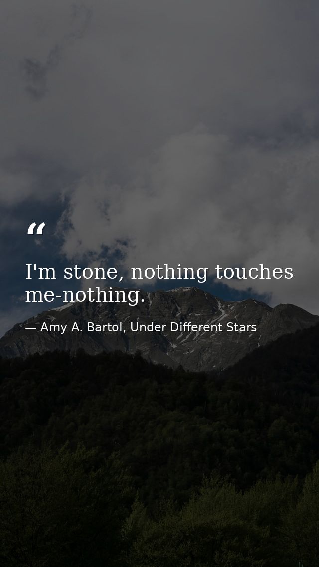I'm stone, nothing touches me-nothing. — Amy A. Bartol, Under Different Stars