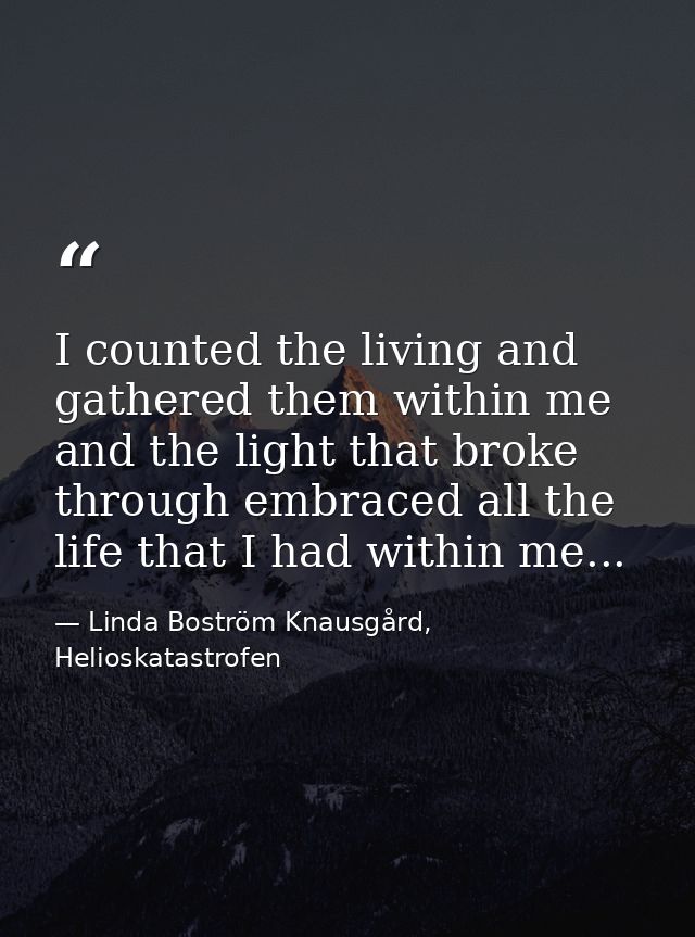 I counted the living and gathered them within me and the light that broke through embraced all the life that I had withi — Linda Boström Knausgård, Helioskatastrofen