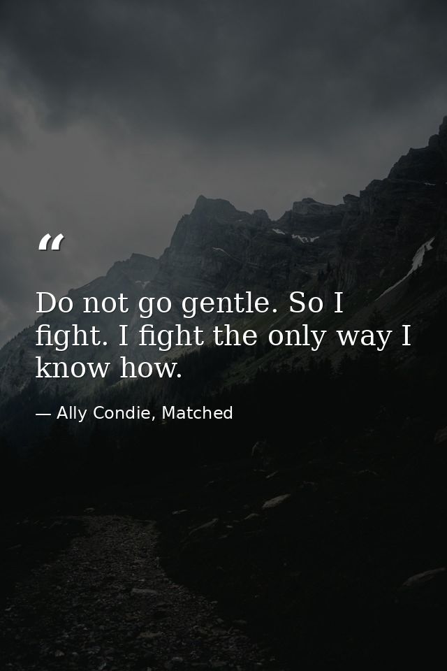 Do not go gentle. So I fight. I fight the only way I know how. — Ally Condie, Matched