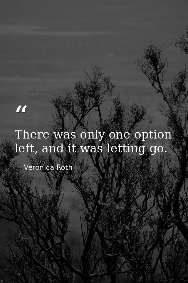There was only one option left, and it was letting go. — Veronica Roth