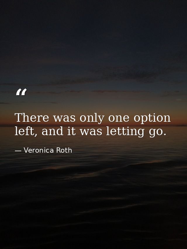 There was only one option left, and it was letting go. — Veronica Roth