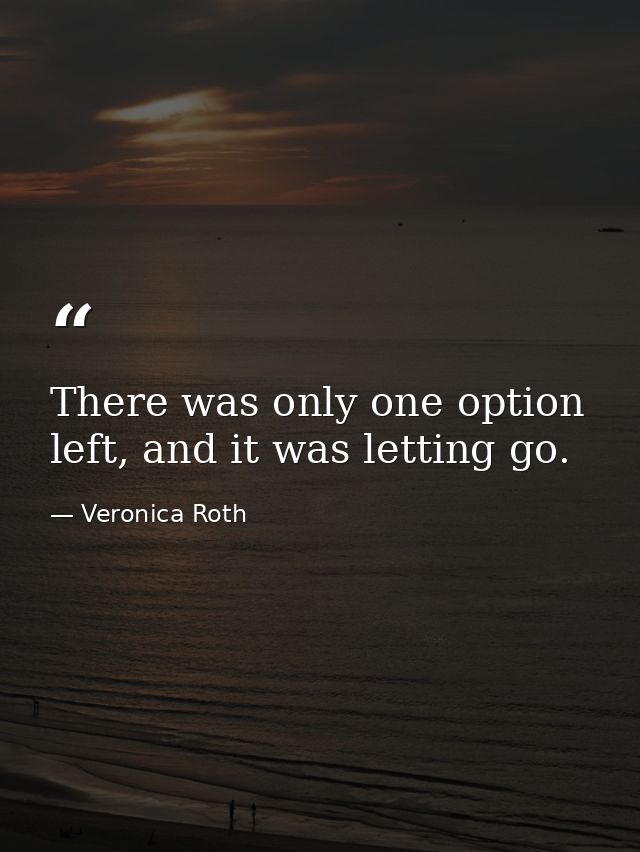There was only one option left, and it was letting go. — Veronica Roth