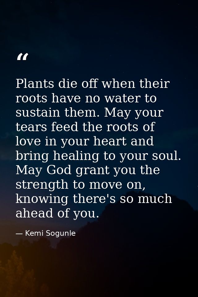 Plants die off when their roots have no water to sustain them. May your tears feed the roots of love in your heart and b — Kemi Sogunle