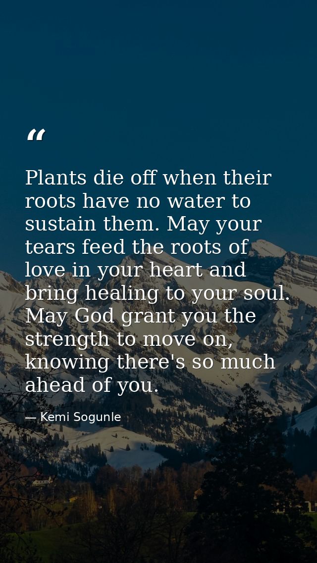 Plants die off when their roots have no water to sustain them. May your tears feed the roots of love in your heart and b — Kemi Sogunle