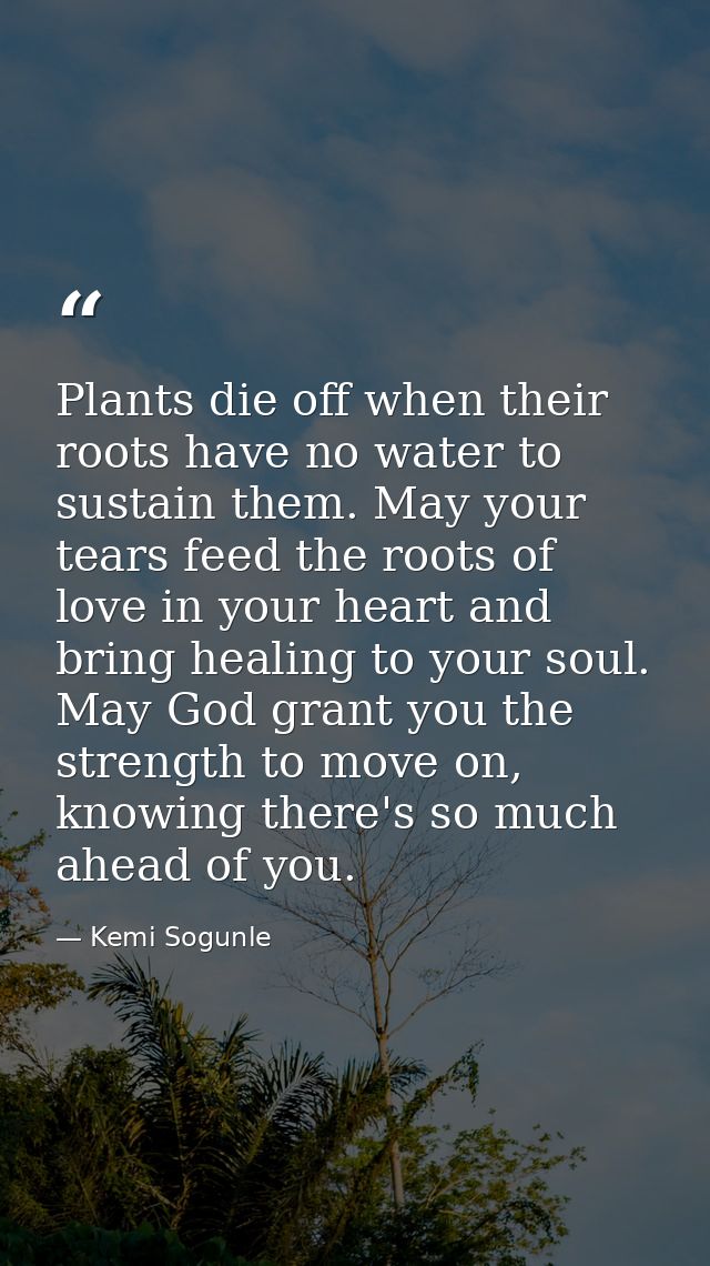 Plants die off when their roots have no water to sustain them. May your tears feed the roots of love in your heart and b — Kemi Sogunle