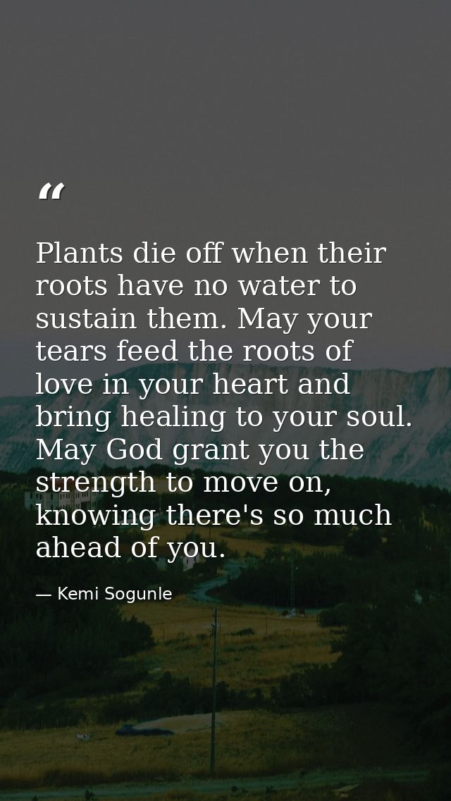 Plants die off when their roots have no water to sustain them. May your tears feed the roots of love in your heart and b — Kemi Sogunle